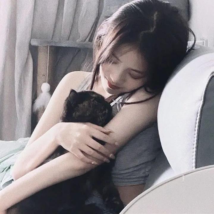 母牛总动员